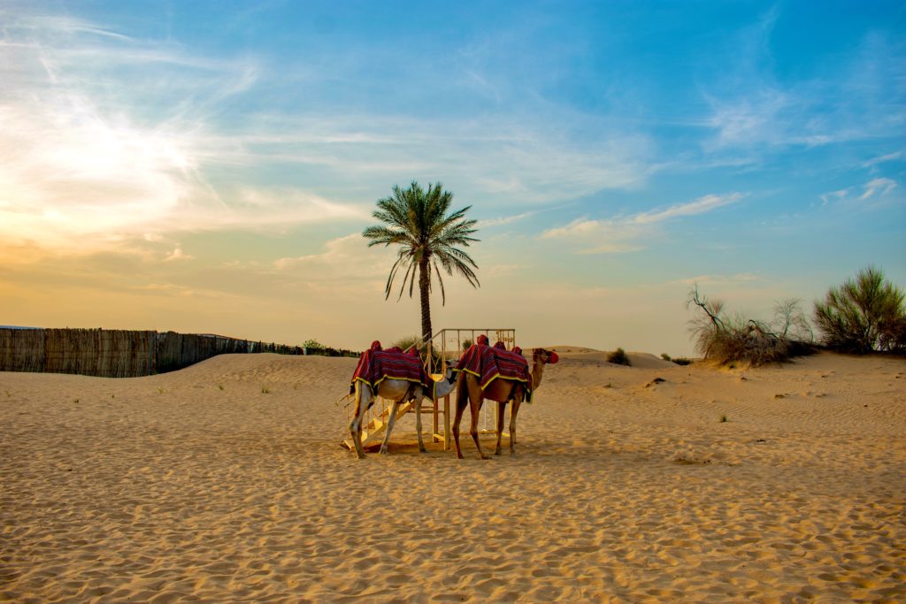 desert safari dubai