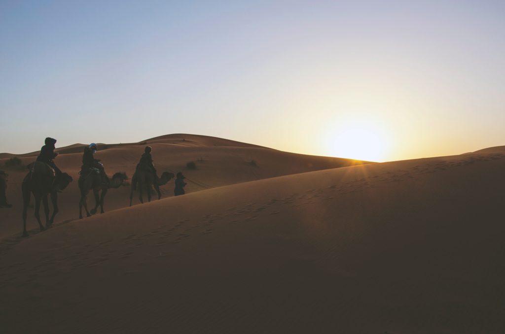 evening desert safari