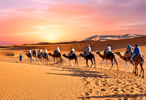 evening desert safari dubai and abu dhabi package
