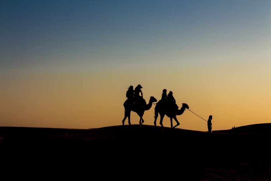 Morning camel ride