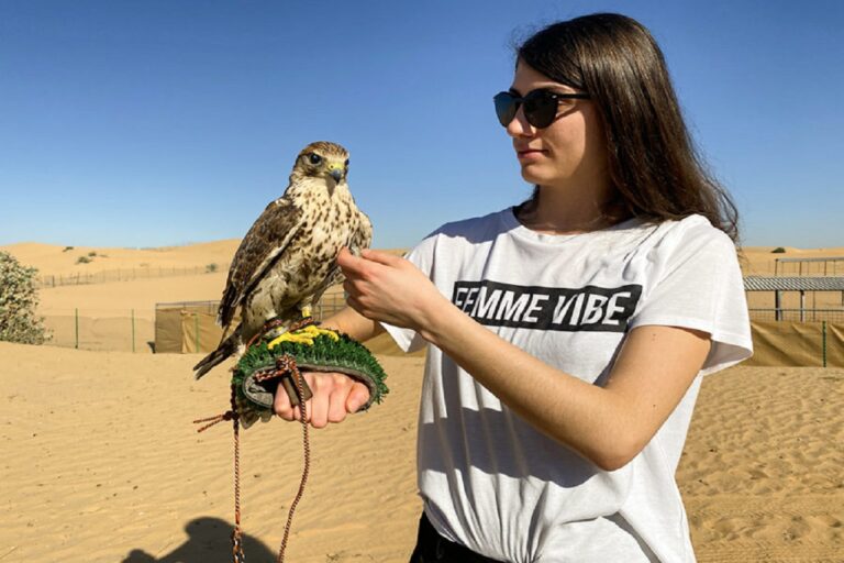 Customer with Falcon