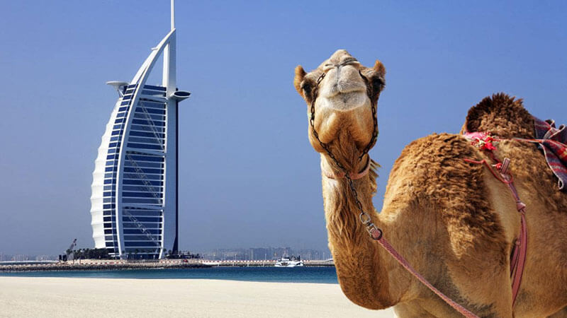 Top 9 Sightseeing Tours And Excursions In Dubai