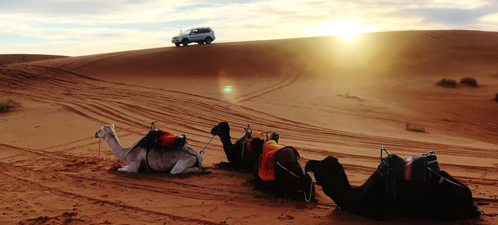 Desert Safari Dubai